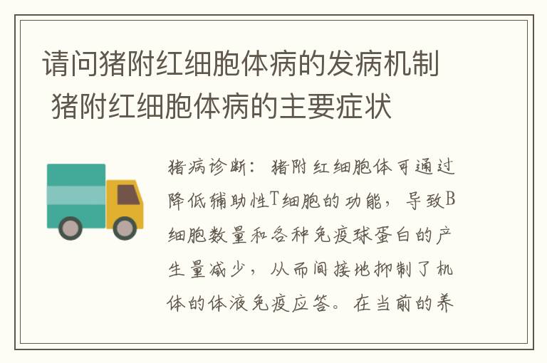 请问猪附红细胞体病的发病机制 猪附红细胞体病的主要症状