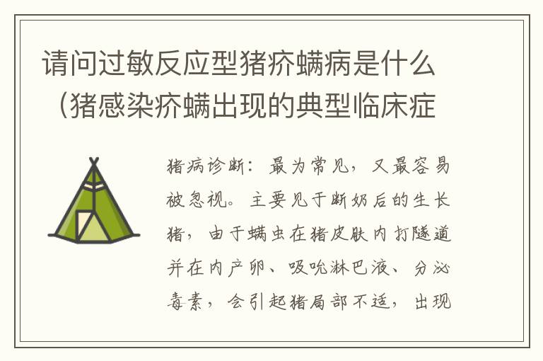 请问过敏反应型猪疥螨病是什么（猪感染疥螨出现的典型临床症状是）