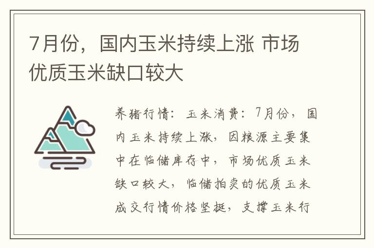 7月份，国内玉米持续上涨 市场优质玉米缺口较大