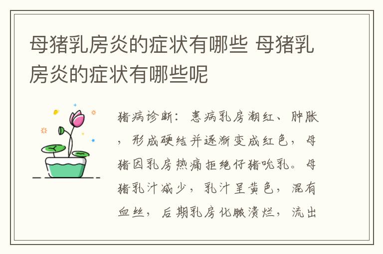 母猪乳房炎的症状有哪些 母猪乳房炎的症状有哪些呢