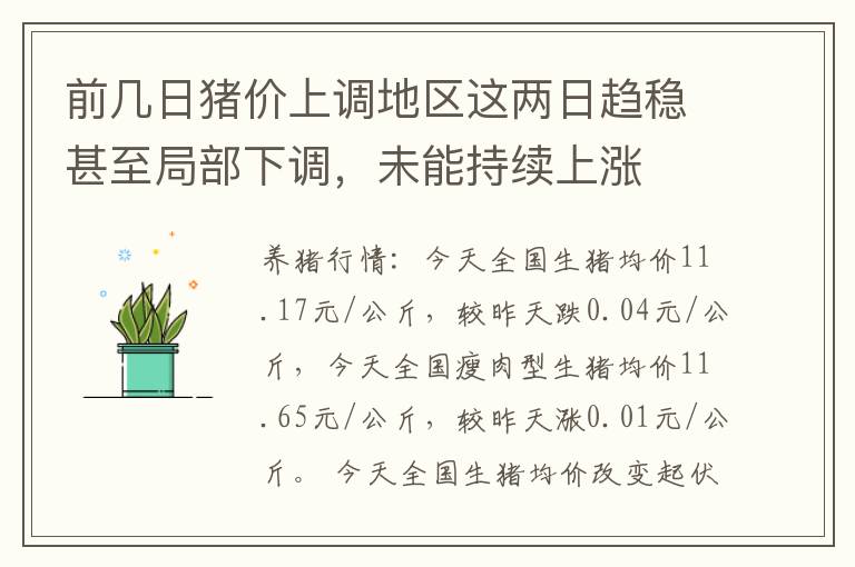 前几日猪价上调地区这两日趋稳甚至局部下调，未能持续上涨