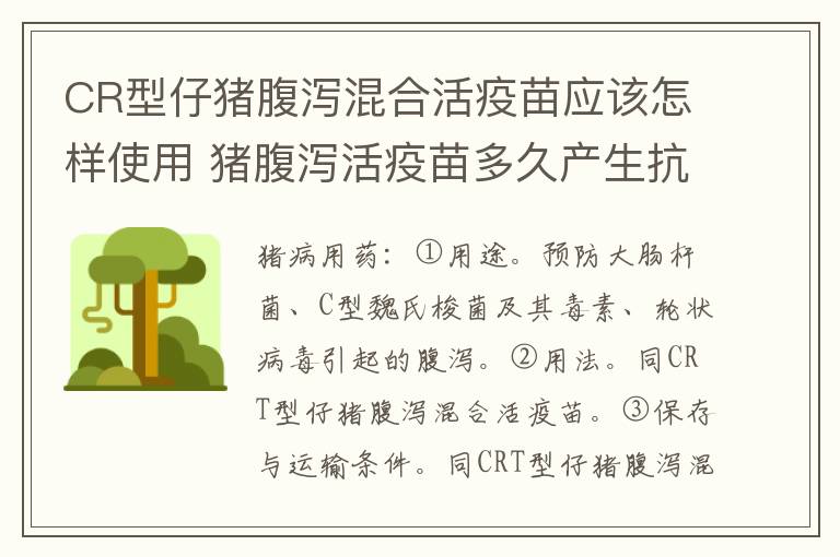 CR型仔猪腹泻混合活疫苗应该怎样使用 猪腹泻活疫苗多久产生抗体