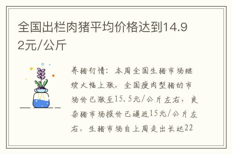 全国出栏肉猪平均价格达到14.92元/公斤