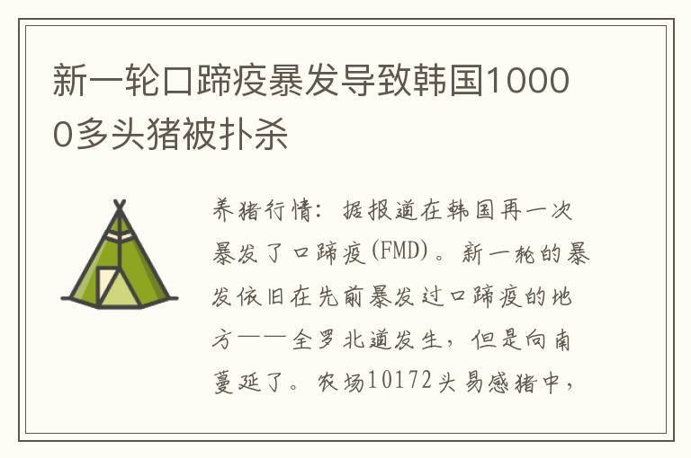 新一轮口蹄疫暴发导致韩国10000多头猪被扑杀