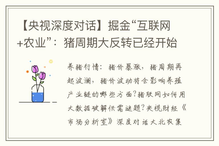 【央视深度对话】掘金“互联网+农业”：猪周期大反转已经开始!