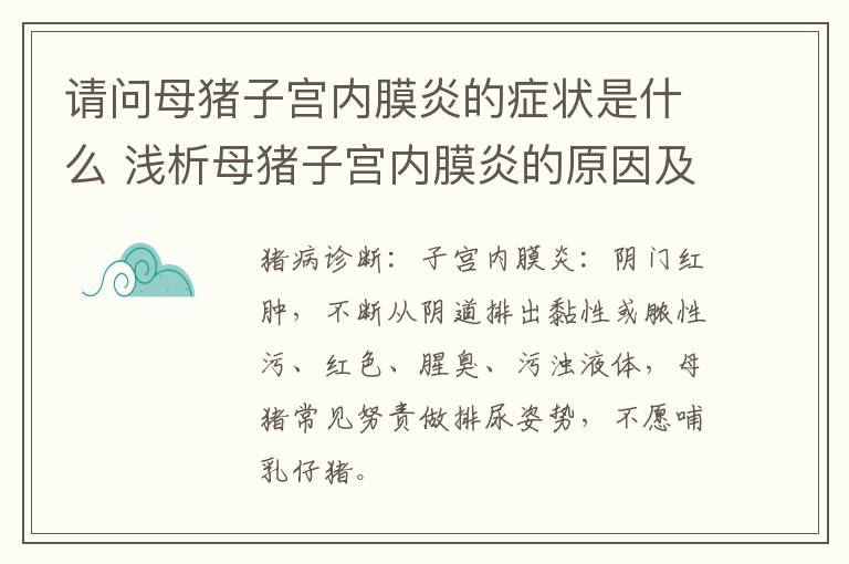 请问母猪子宫内膜炎的症状是什么 浅析母猪子宫内膜炎的原因及治疗方法!