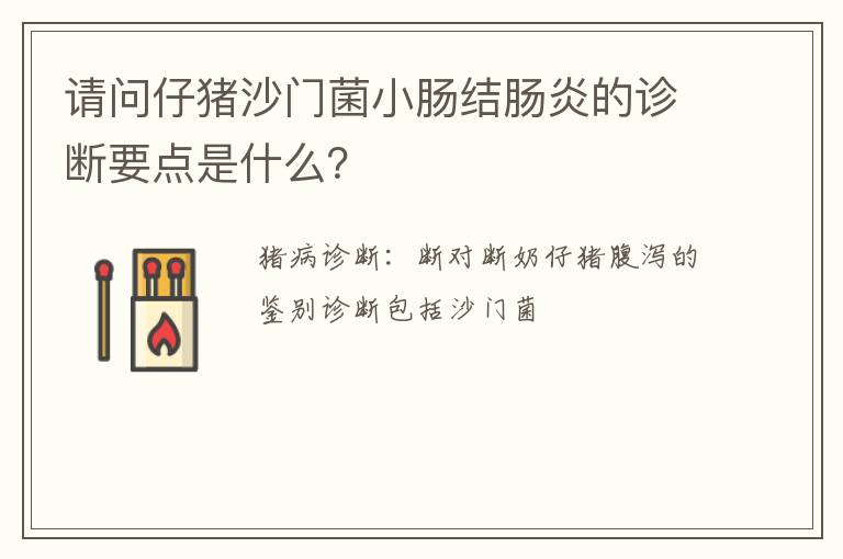 请问仔猪沙门菌小肠结肠炎的诊断要点是什么？