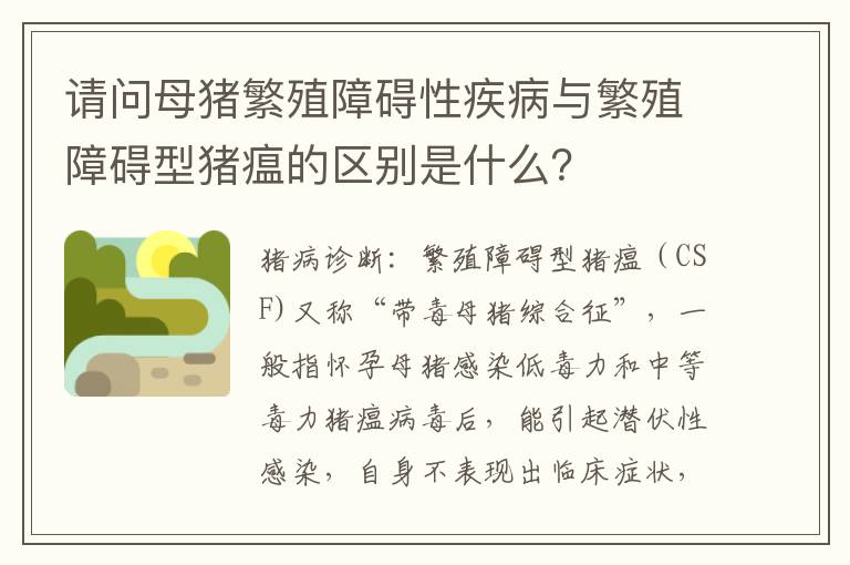 请问母猪繁殖障碍性疾病与繁殖障碍型猪瘟的区别是什么？