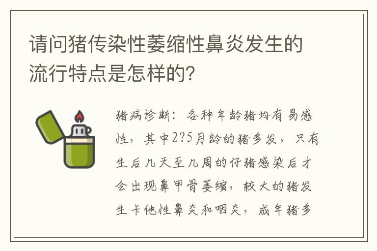 请问猪传染性萎缩性鼻炎发生的流行特点是怎样的？