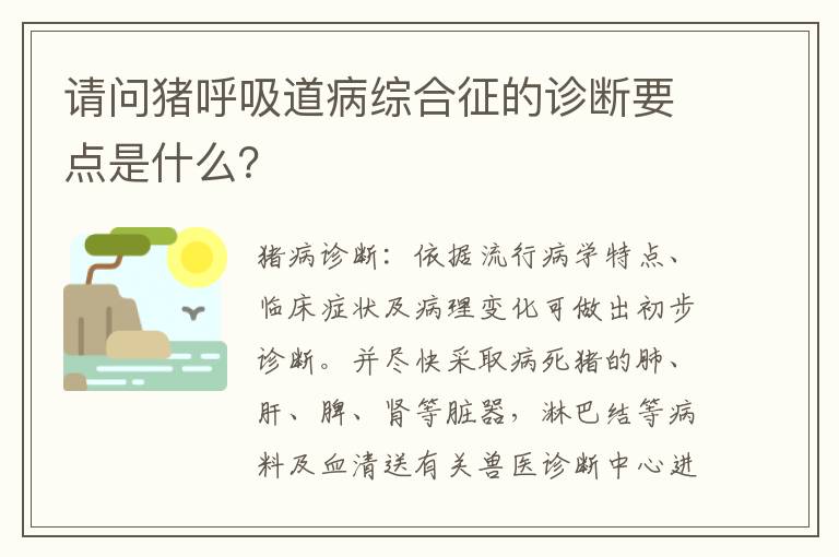 请问猪呼吸道病综合征的诊断要点是什么？