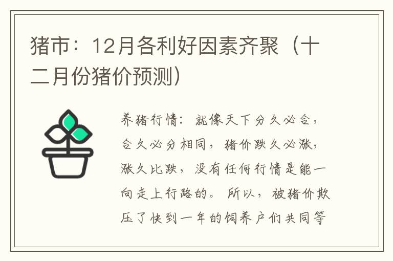 猪市：12月各利好因素齐聚（十二月份猪价预测）