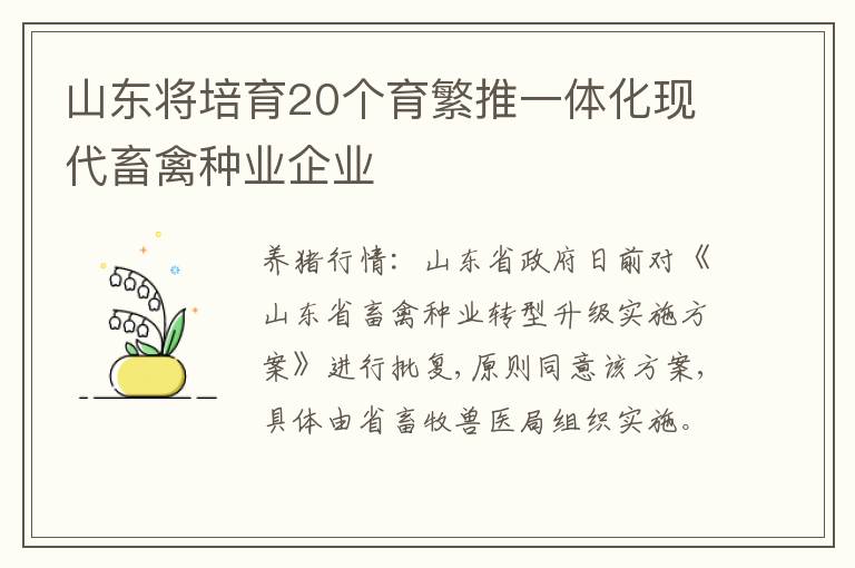 山东将培育20个育繁推一体化现代畜禽种业企业