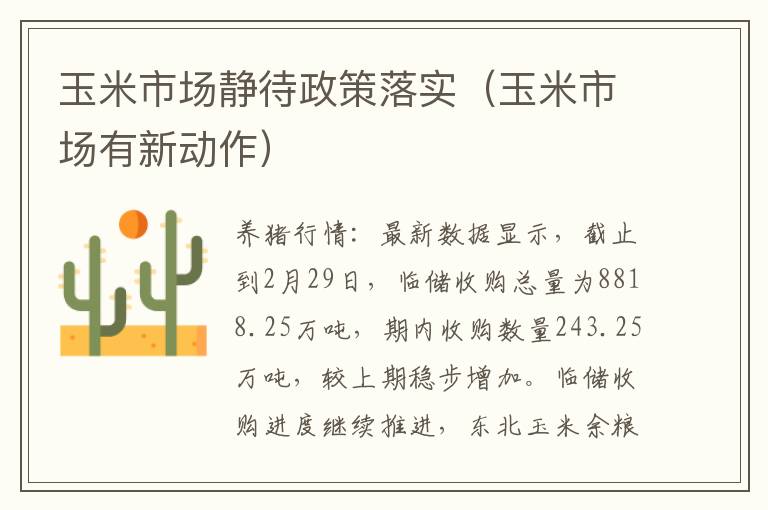 玉米市场静待政策落实（玉米市场有新动作）