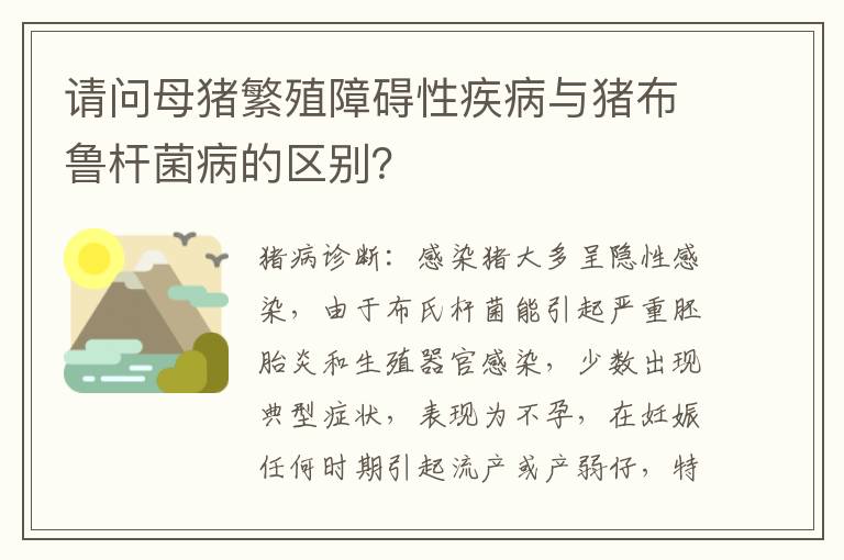 请问母猪繁殖障碍性疾病与猪布鲁杆菌病的区别？