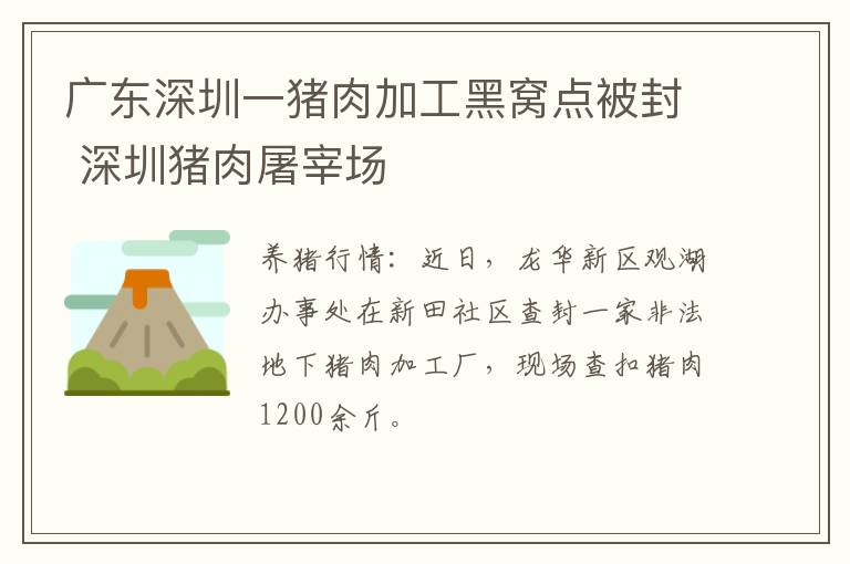 广东深圳一猪肉加工黑窝点被封 深圳猪肉屠宰场