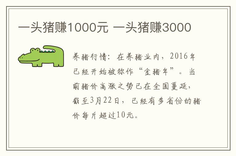 一头猪赚1000元 一头猪赚3000