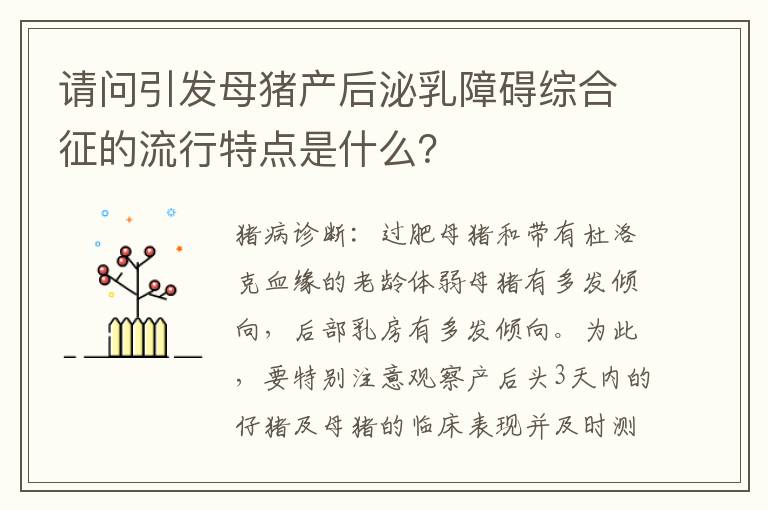 请问引发母猪产后泌乳障碍综合征的流行特点是什么？