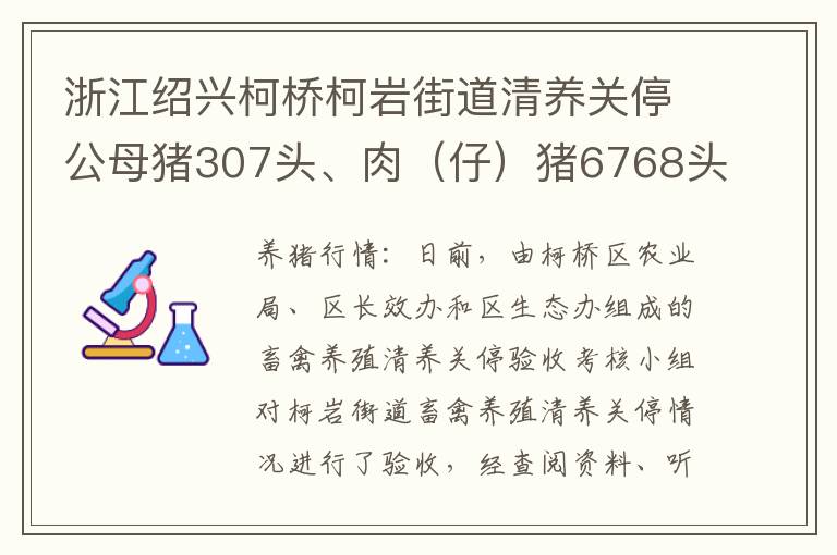 浙江绍兴柯桥柯岩街道清养关停公母猪307头、肉（仔）猪6768头