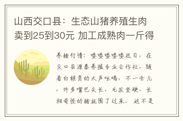 山西交口县：生态山猪养殖生肉卖到25到30元 加工成熟肉一斤得50