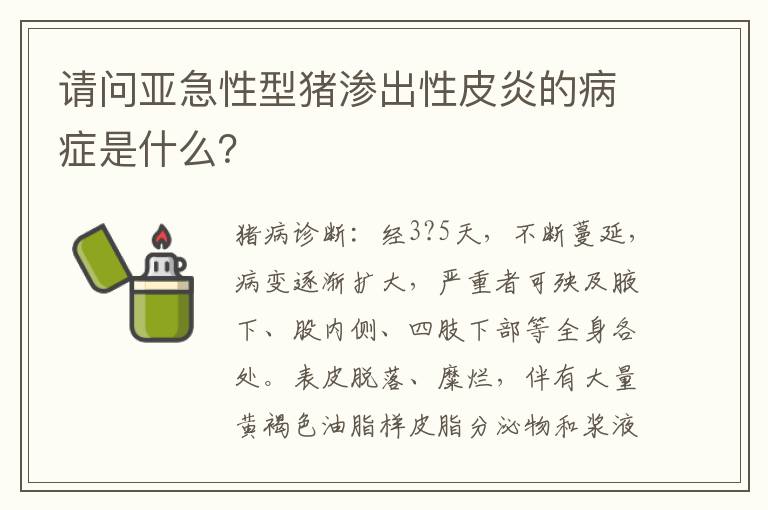 请问亚急性型猪渗出性皮炎的病症是什么？