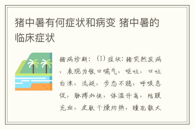 猪中暑有何症状和病变 猪中暑的临床症状