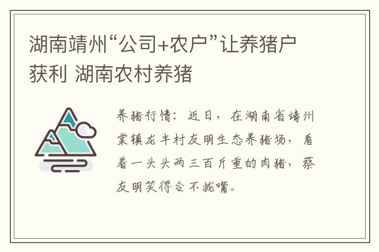 湖南靖州“公司+农户”让养猪户获利 湖南农村养猪