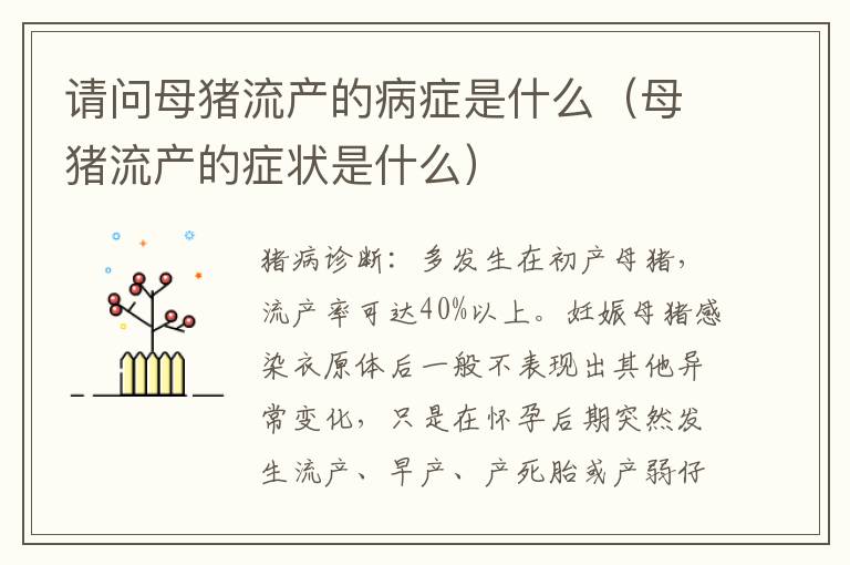 请问母猪流产的病症是什么（母猪流产的症状是什么）