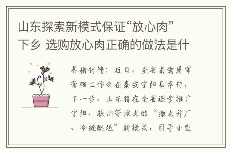 山东探索新模式保证“放心肉”下乡 选购放心肉正确的做法是什么