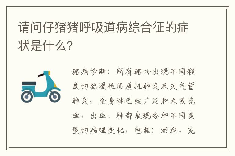 请问仔猪猪呼吸道病综合征的症状是什么？