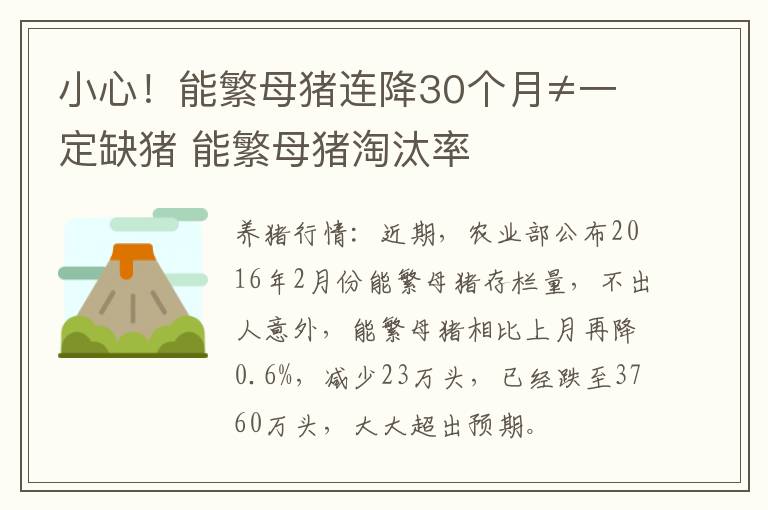 小心！能繁母猪连降30个月≠一定缺猪 能繁母猪淘汰率