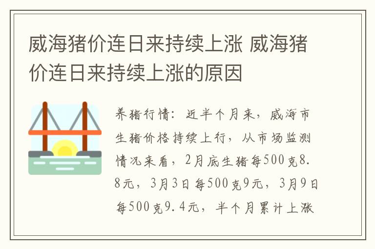 威海猪价连日来持续上涨 威海猪价连日来持续上涨的原因