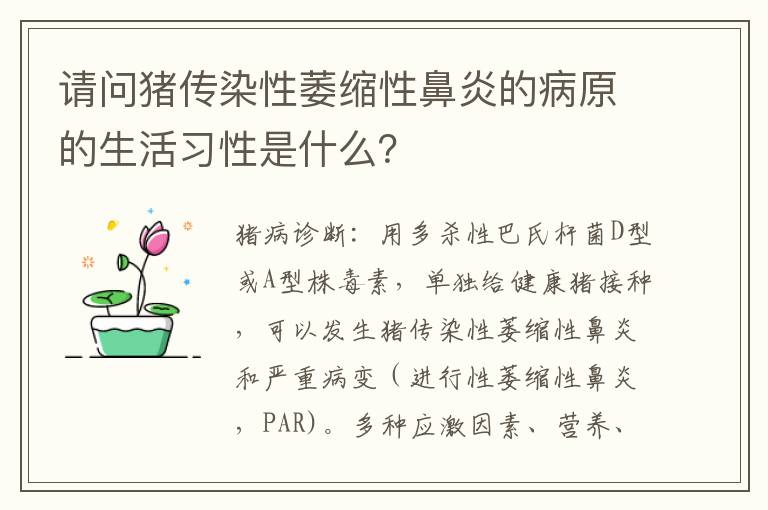 请问猪传染性萎缩性鼻炎的病原的生活习性是什么？