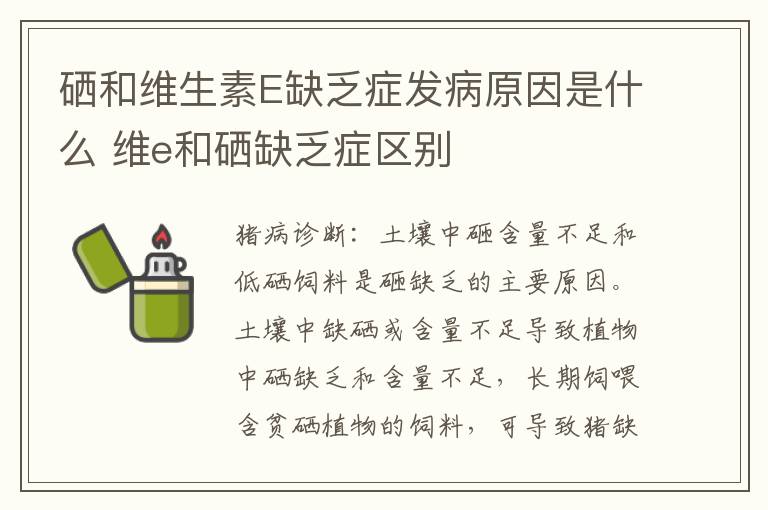 硒和维生素E缺乏症发病原因是什么 维e和硒缺乏症区别