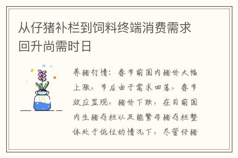 从仔猪补栏到饲料终端消费需求回升尚需时日