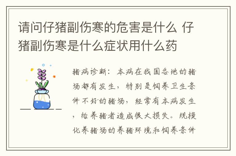 请问仔猪副伤寒的危害是什么 仔猪副伤寒是什么症状用什么药