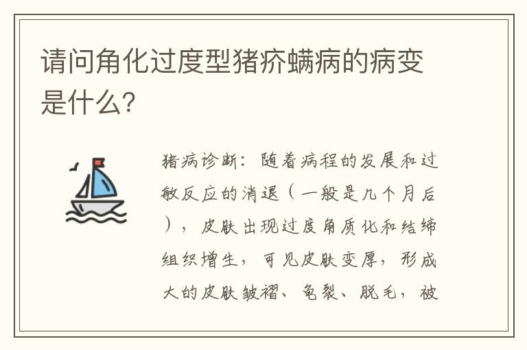 请问角化过度型猪疥螨病的病变是什么？