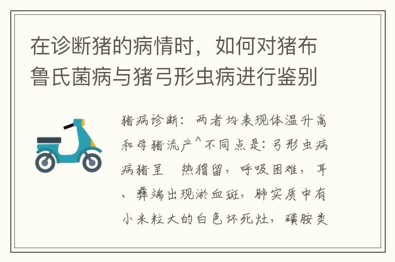 在诊断猪的病情时，如何对猪布鲁氏菌病与猪弓形虫病进行鉴别？