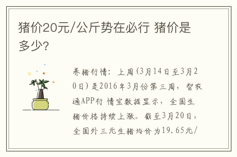 猪价20元/公斤势在必行 猪价是多少?