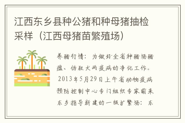 江西东乡县种公猪和种母猪抽检采样（江西母猪苗繁殖场）