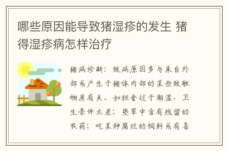 哪些原因能导致猪湿疹的发生 猪得湿疹病怎样治疗