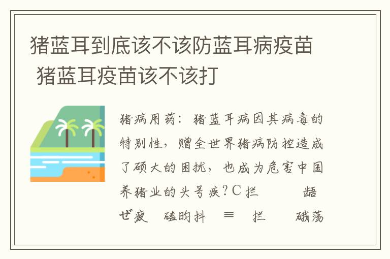 猪蓝耳到底该不该防蓝耳病疫苗 猪蓝耳疫苗该不该打