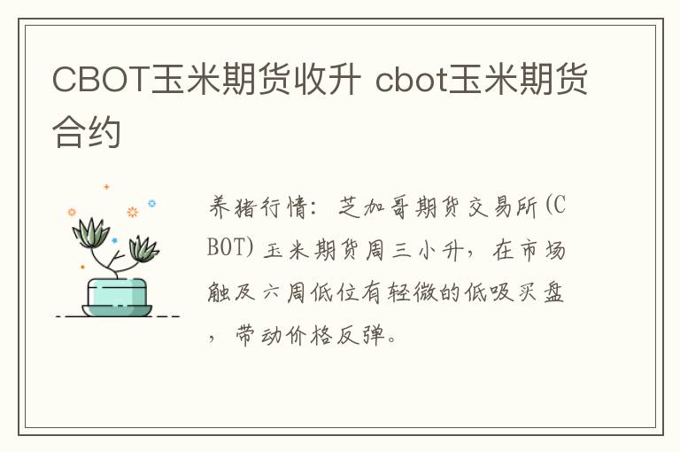 CBOT玉米期货收升 cbot玉米期货合约