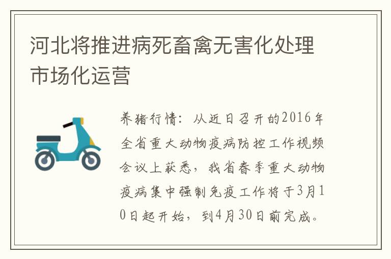 河北将推进病死畜禽无害化处理市场化运营