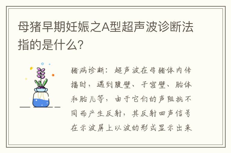 母猪早期妊娠之A型超声波诊断法指的是什么？