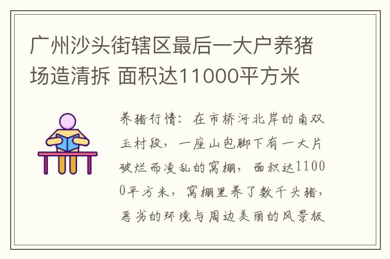 广州沙头街辖区最后一大户养猪场造清拆 面积达11000平方米