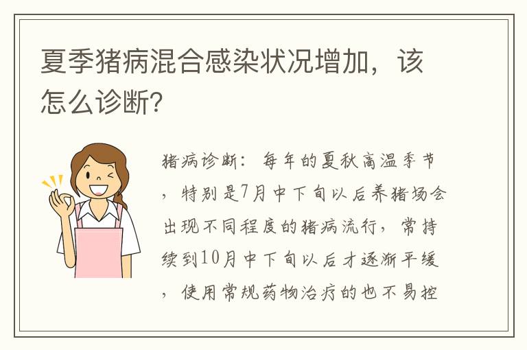 夏季猪病混合感染状况增加，该怎么诊断？