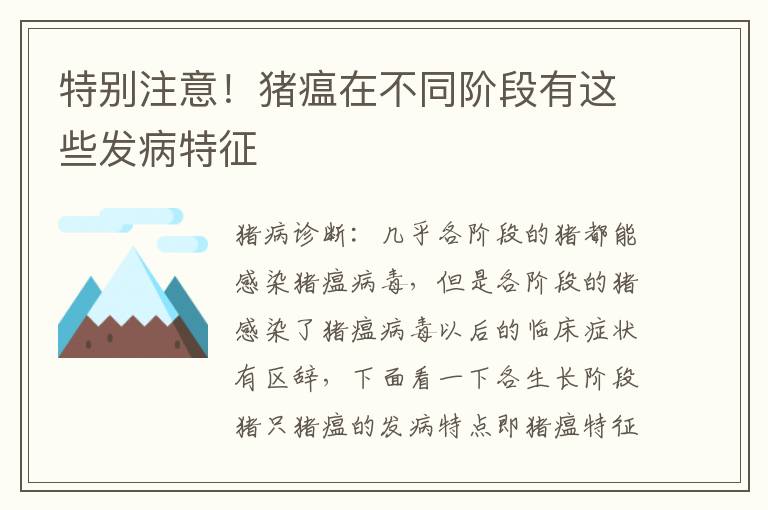 特别注意！猪瘟在不同阶段有这些发病特征