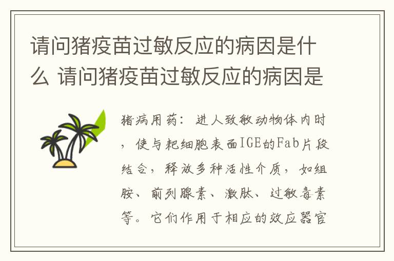 请问猪疫苗过敏反应的病因是什么 请问猪疫苗过敏反应的病因是什么引起的