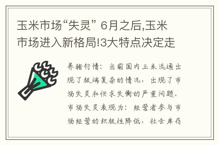 玉米市场“失灵” 6月之后,玉米市场进入新格局!3大特点决定走势