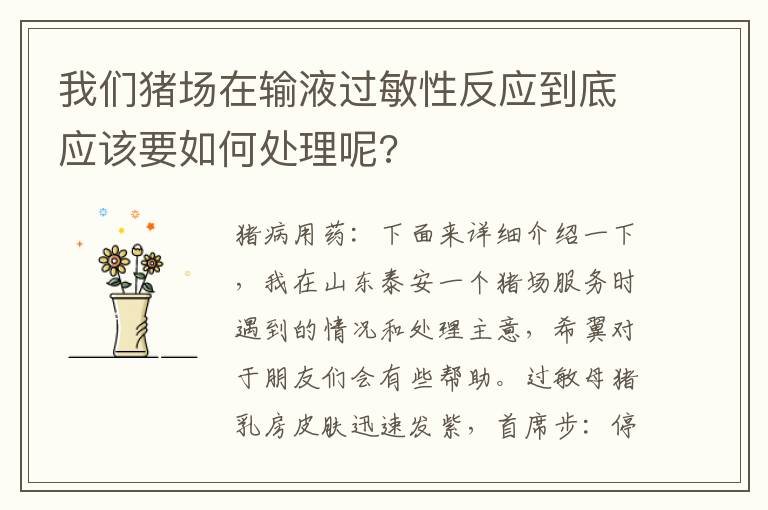 我们猪场在输液过敏性反应到底应该要如何处理呢?